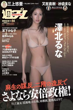 1996年杨敏思版电视剧第二回